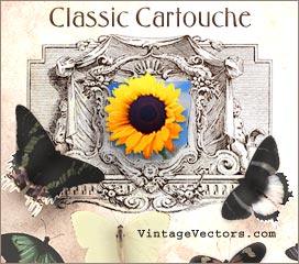 Cartouche vector art graphic