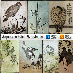 Japanese Woodcut Engravings of Birds - Color Images and Free Bird Vector Art